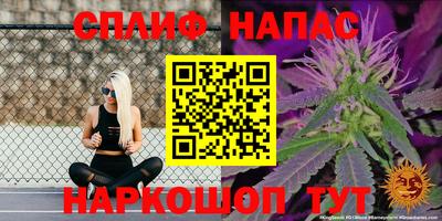 мдпв Канаш
